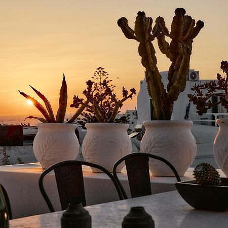 Elaia Luxury Suites Mykonos Mykonos Town Eksteriør billede