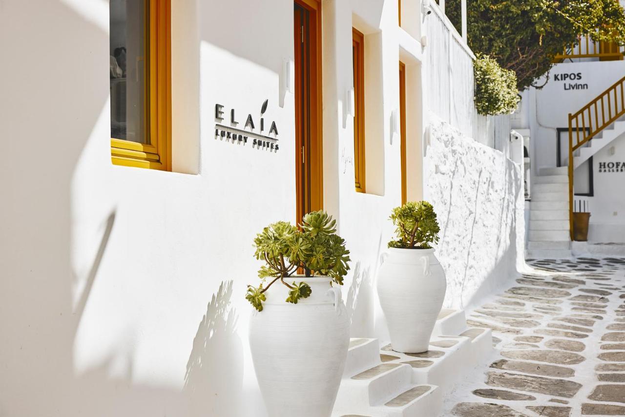 Elaia Luxury Suites Mykonos Mykonos Town Eksteriør billede