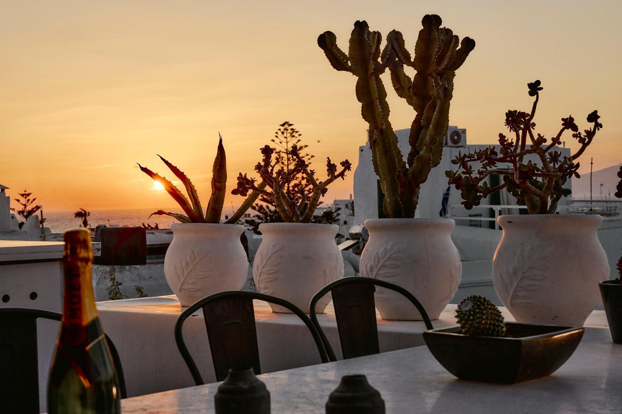Elaia Luxury Suites Mykonos Mykonos Town Eksteriør billede